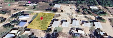 0 Osprey Cir unit 387579, Keaton Beach, FL 32348 - photo 6