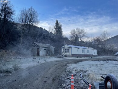 213 Washington St, Canyon City, OR 97820 - photo 5