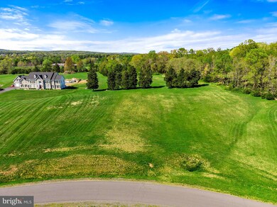 0 Stone Fox Ct unit VALO381772, Leesburg, VA 20175 - photo 6