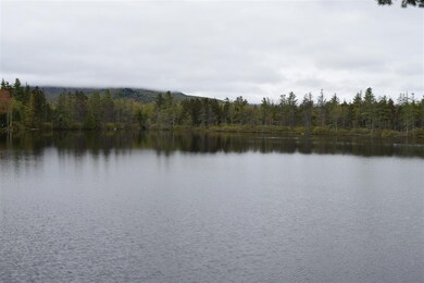 51 Montgomery Rd, Stark, NH 03582 - photo 6