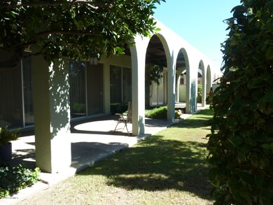 Back Yard Landscaping