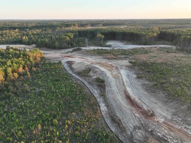 144 Mountain Pine Rd unit Tract 5, Mabelvale, AR 72103 - photo 4