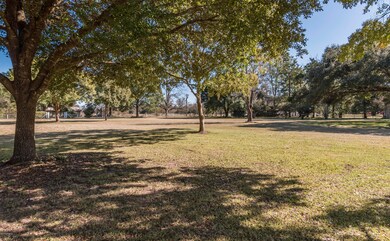 Front Yard 1