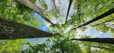 Sr 34 S, Hurricane, WV 25526 - photo 2