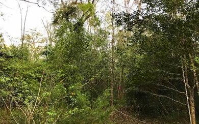 0 Rose Ln unit 97046, Fort White, FL 32038 - photo 2