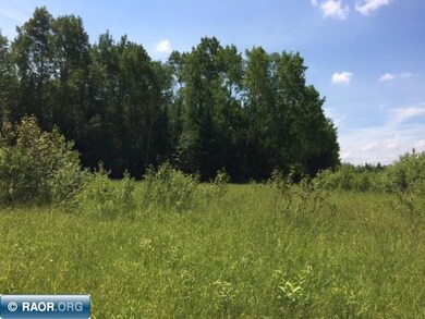 TBD Anderson Rd, Toivola, MN 55765 - photo 7