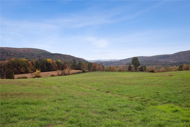 171 W Kill Rd, Jefferson, NY 12093 - photo 5