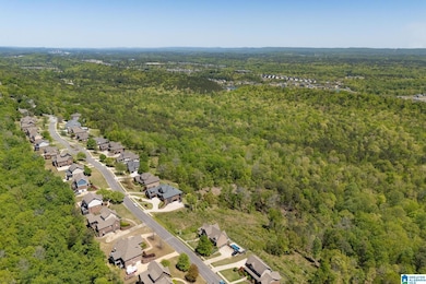 1776 Southpointe Dr unit 35, Hoover, AL 35244 - photo 4