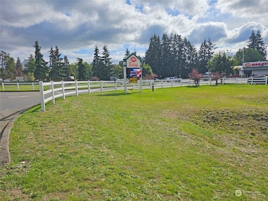 18125 Albany St SW, Rochester, WA 98579 - photo 4