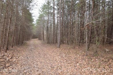 00 Robinson Yelton Rd, Clover, SC 29710 - photo 3