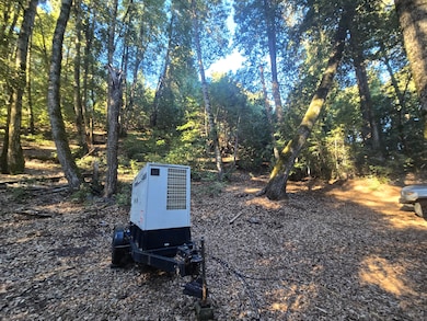 1439 Trinity Trail, Zenia, CA 95595 - photo 4