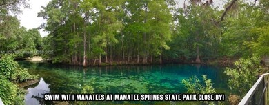 0 Old Fannin Rd, Trenton, FL 32693 - photo 6