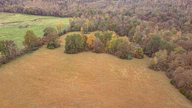 480 County Road 480, Poplar Bluff, MO 63901 - photo 2