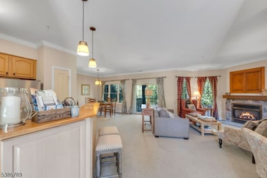 3-13 Maple Crescent unit 13, Vernon Township, NJ 07462 - photo 6