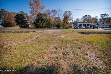 2117 Castle Hayne Rd, Wilmington, NC 28401 - photo 3