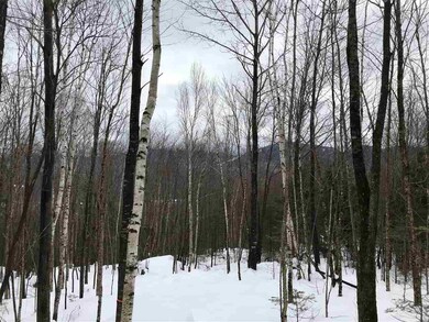 0 Timber Ln unit 4672942, Franconia, NH 03580 - photo 6