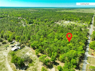 0 SW 95th St unit 823752, Dunnellon, FL 34431 - photo 6