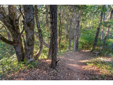 25 Jewett Creek Loop Rd, White Salmon, WA 98672 - photo 7