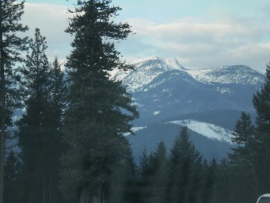 217 Snowy View Drive