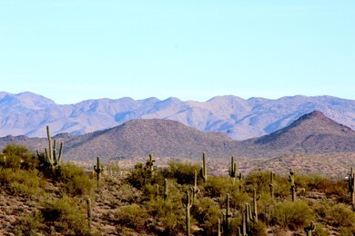 IMG_0665