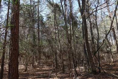 TBD Cross Rd, Grayson, LA 71435 - photo 6