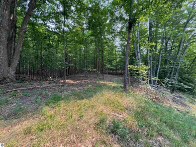 Lot #3 E Bellinger Rd, Cedar, MI 49621 - photo 6
