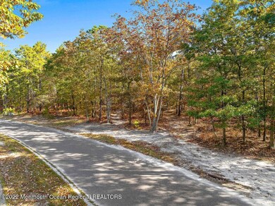 91 Bennington Way, West Creek, NJ 08092 - photo 4