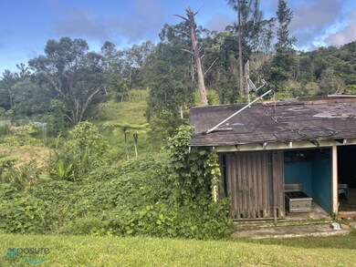 763 6 0, Cayey, PR 00736 - photo 2