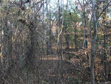 4366 Whitetail Ln unit 9, Midland, NC 28107 - photo 6