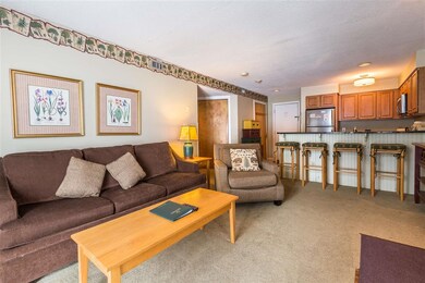 318 Mountain Rd unit A-103, Ludlow, VT 05149 - photo 4