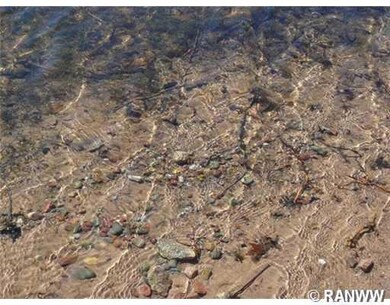 Lot 8 Moser Dr, Webster, WI 54893 - photo 4