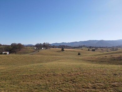 DJI_0541