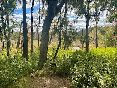 Lot 21 Black Cypress Dr, Darien, GA 31305 - photo 3