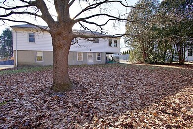 17 Fisher St, Natick, MA 01760 - photo 4