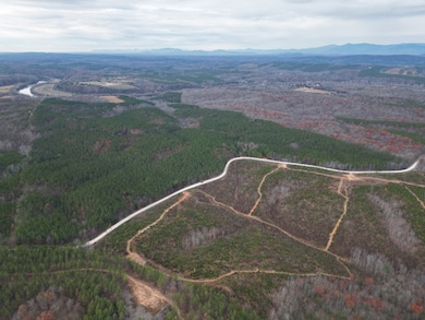 606 Spears Mountain Rd, Wingina, VA 24599 - photo 4