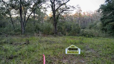 0 Imaginary Ln unit 263416, Crawfordville, FL 32327 - photo 3