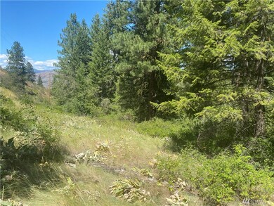 0 Wildcat Ridge Rd unit 1636795, Twisp, WA 98856 - photo 5