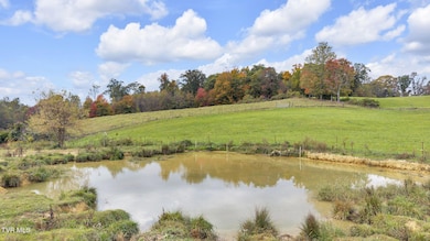 000 Matson Rd, Jonesborough, TN 37659 - photo 5