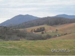 20 & 24 Pearl Mountain Ridge, Leicester, NC 28748 - photo 3