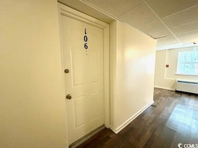 6850 Blue Heron Blvd unit 106, Myrtle Beach, SC 29588 - photo 6