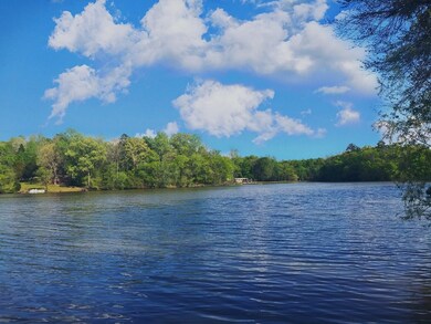 View South from Dock