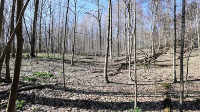 0 Vl Hoffman St unit LotWP001, Vandalia, MI 49095 - photo 6