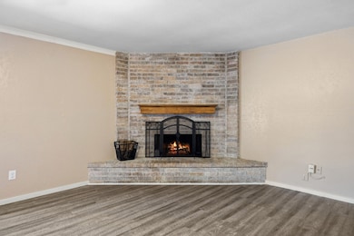 520 Palo Duro Dr, Joshua, TX 76058 - photo 6