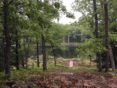 2090 W Calabash Ave, Merrill Township, MI 49309 - photo 3