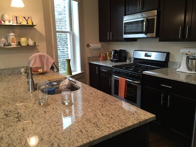 2247 W Thomas St, Chicago, IL 60622 - photo 5