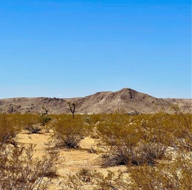 0 Dennis Ave unit CV25180736, Joshua Tree, CA 92252 - photo 4