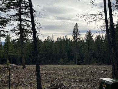 Lot 3 Aspen Glen Rd, Eureka, MT 59917 - photo 2