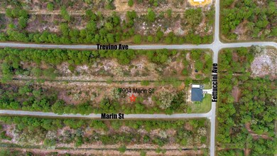 7904 Marin St, Sebring, FL 33872 - photo 3