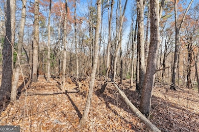 LOT 26 & 27 Spring Crest Rd, Cleveland, GA 30528 - photo 5