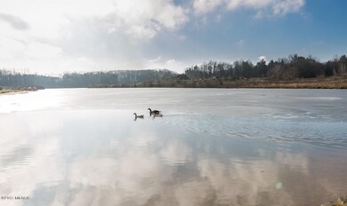 15106 Silver Fir Dr, Holland, MI 49424 - photo 6